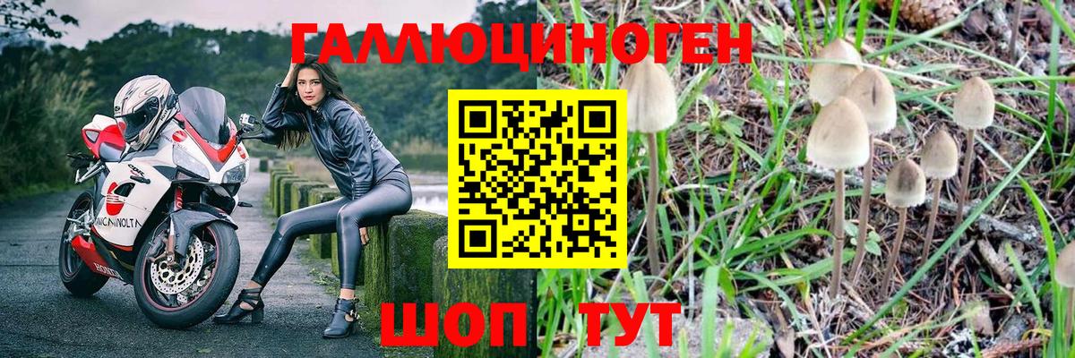 Галлюциногенные грибы GOLDEN TEACHER  Галлюциногенные грибы прущие грибы  Можга  Вход с VPN 